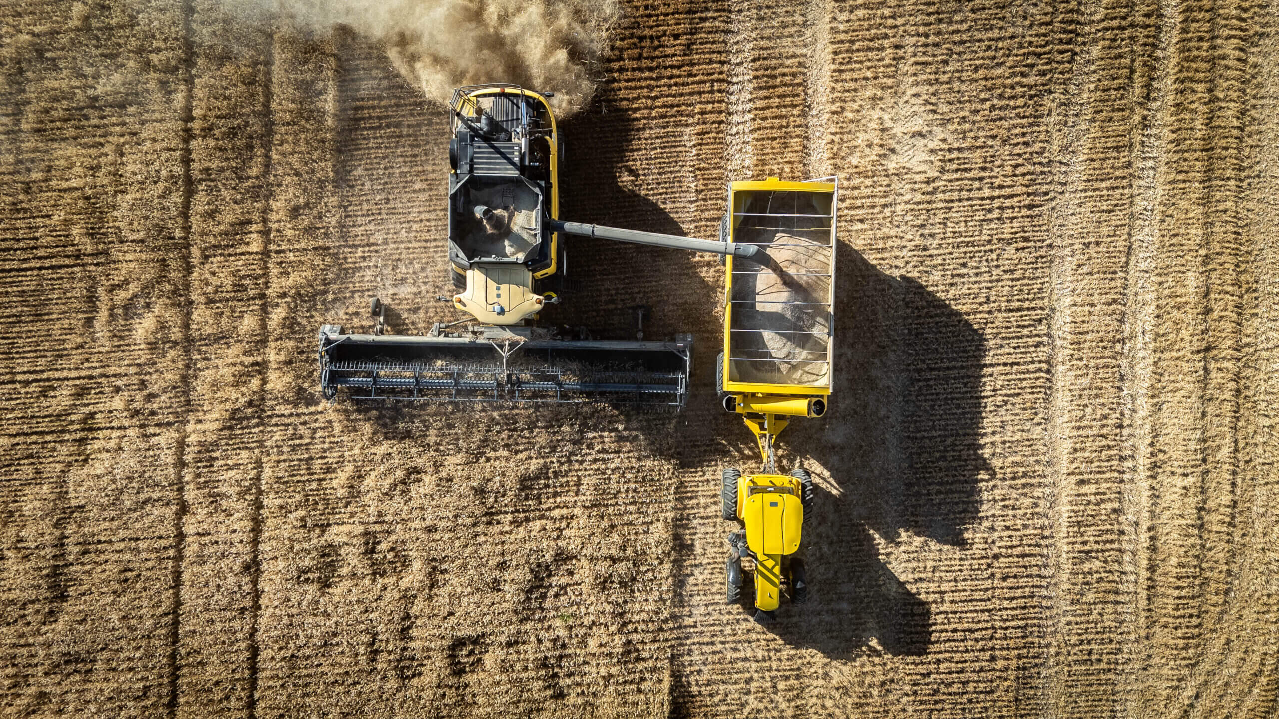 Descargar imagen de portada