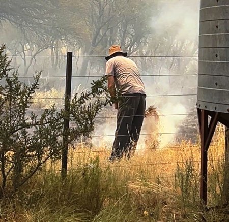 WhatsApp Image 2026 01 02 at 1.34.16 PM