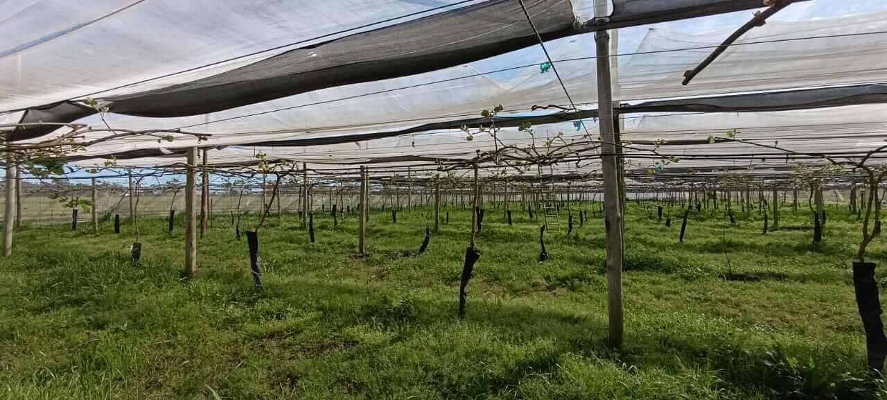 WhatsApp Image 2026 01 13 at 1.12.15 PM