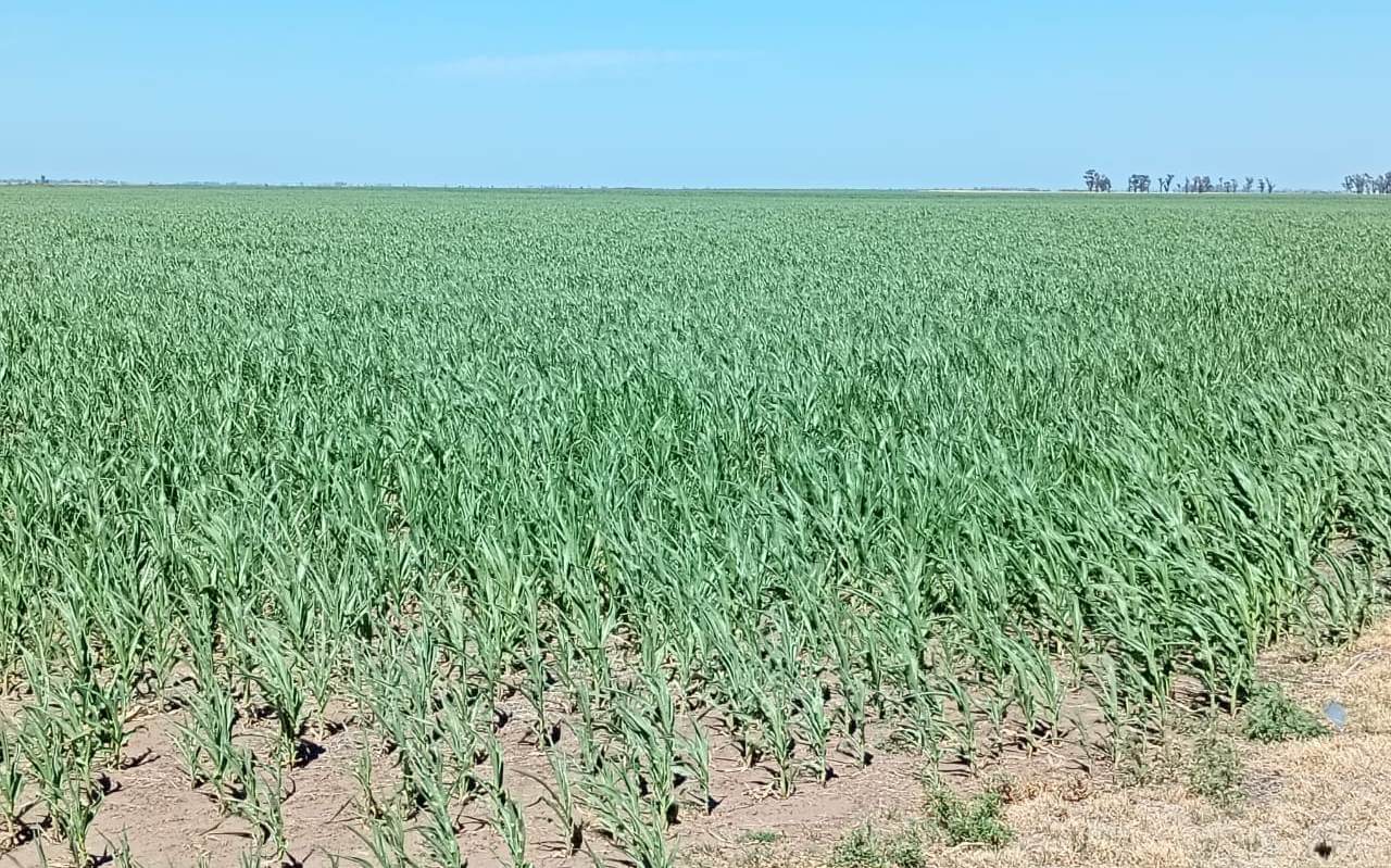 WhatsApp Image 2026 01 23 at 10.47.49 AM