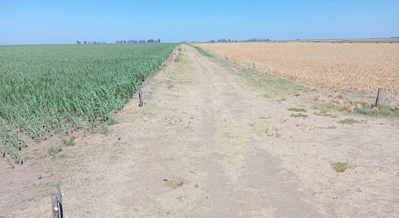 WhatsApp Image 2026 01 23 at 10.47.50 AM