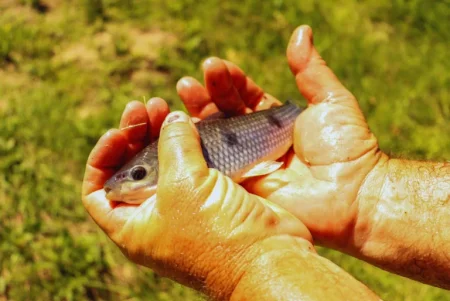 bogaacuiculturas 2 768x514.jpg