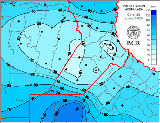 La sequía que alarma a la zona núcleo: en enero llovió menos de la mitad del promedio histórico 1 descarga 4