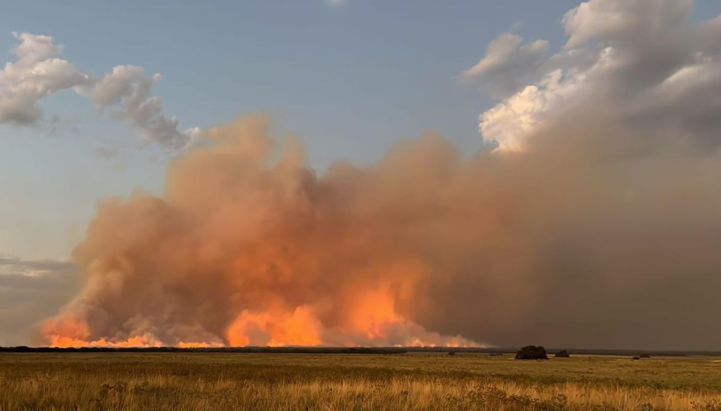Los incendios, un drama que continúa en La Pampa: “El daño productivo, ambiental y humano es enorme”