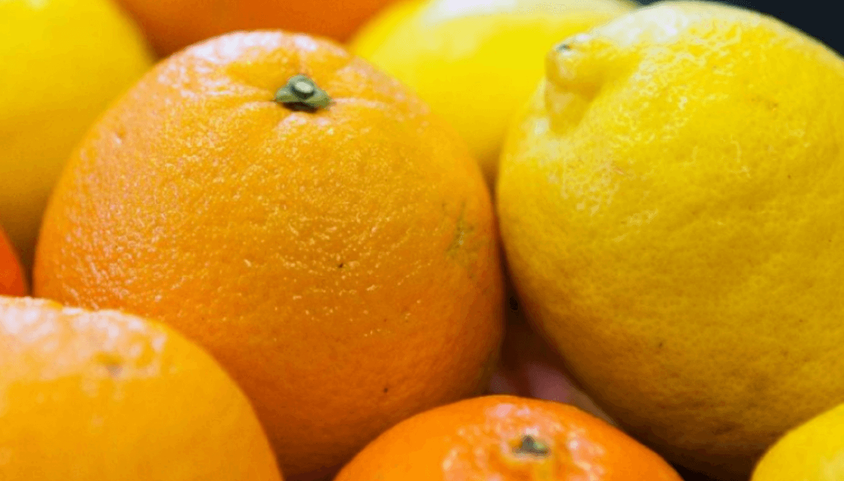 naranjas citricos senasa