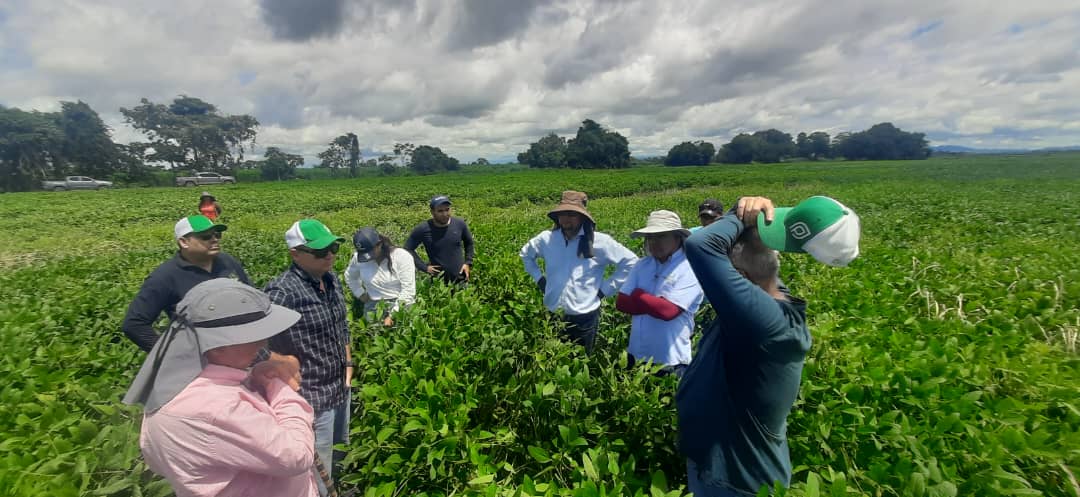 productores venezuela soja