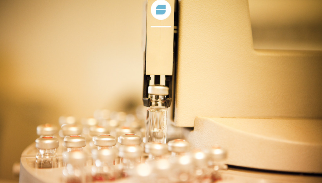 senasa vacunas bovinas