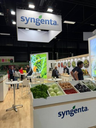 sival syngenta