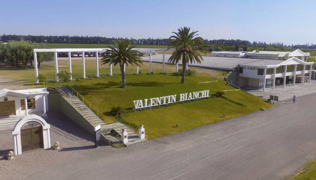 Crisis bodeguera: otra empresa emblemática del vino argentino enfrenta una deuda multimillonaria