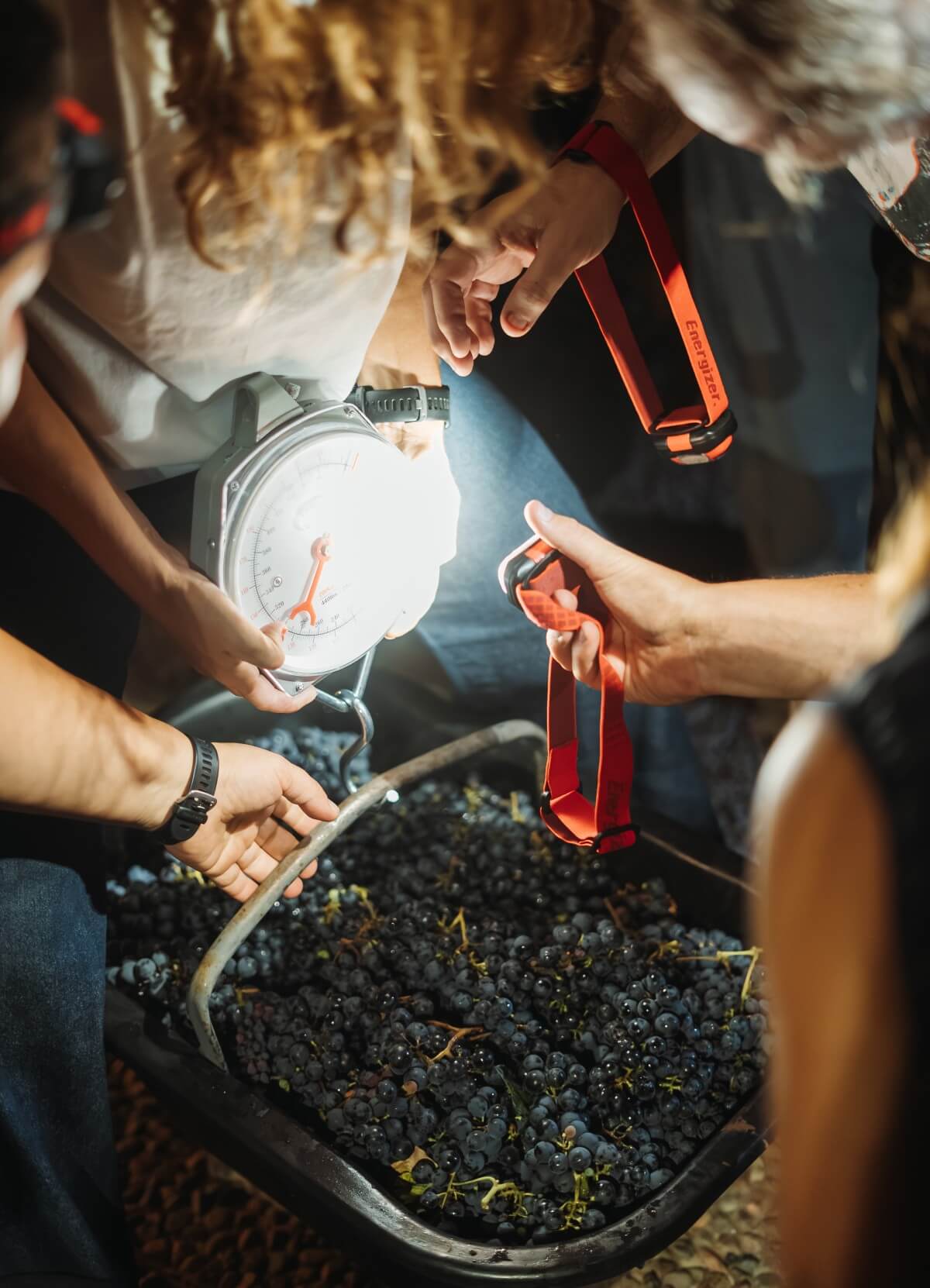 DR CosechaNocturna 57