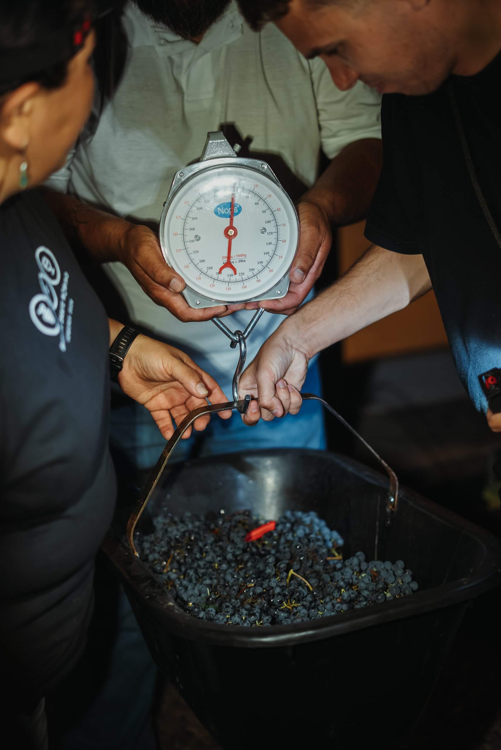 DR CosechaNocturna 59 scaled