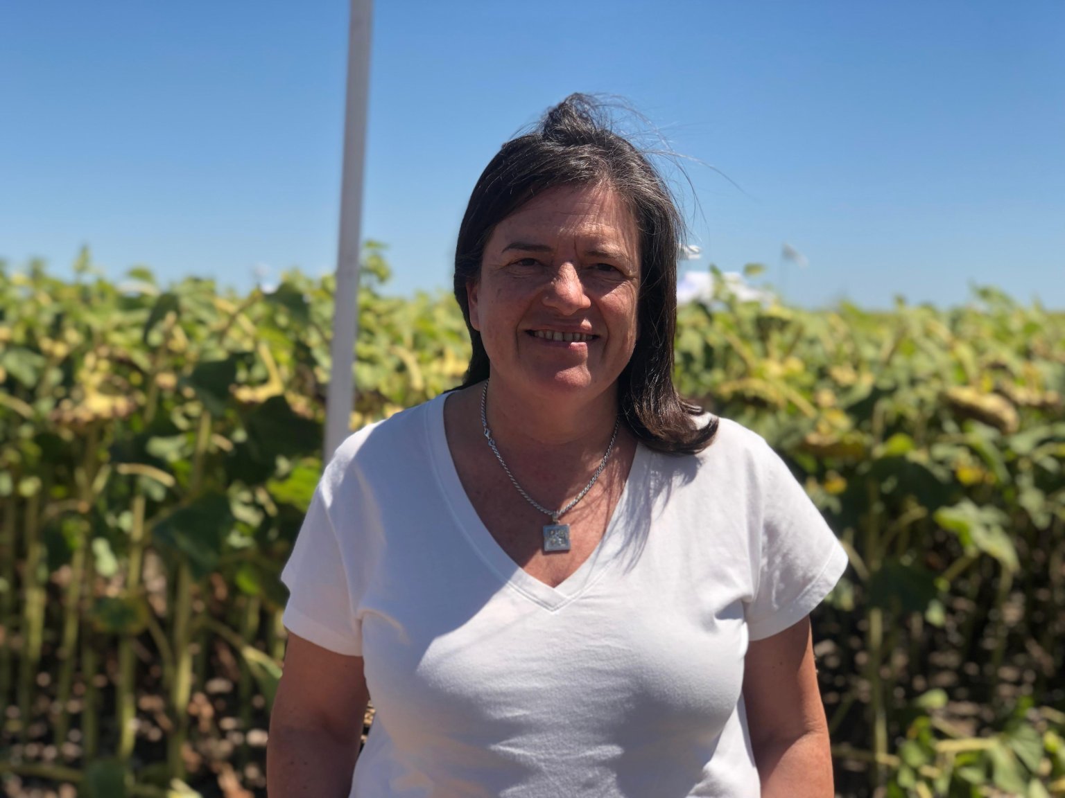 La Pampa sostiene que la barrera sanitaria dej&oacute; de ser un conflicto y consolid&oacute; nuevos mercados c&aacute;rnicos