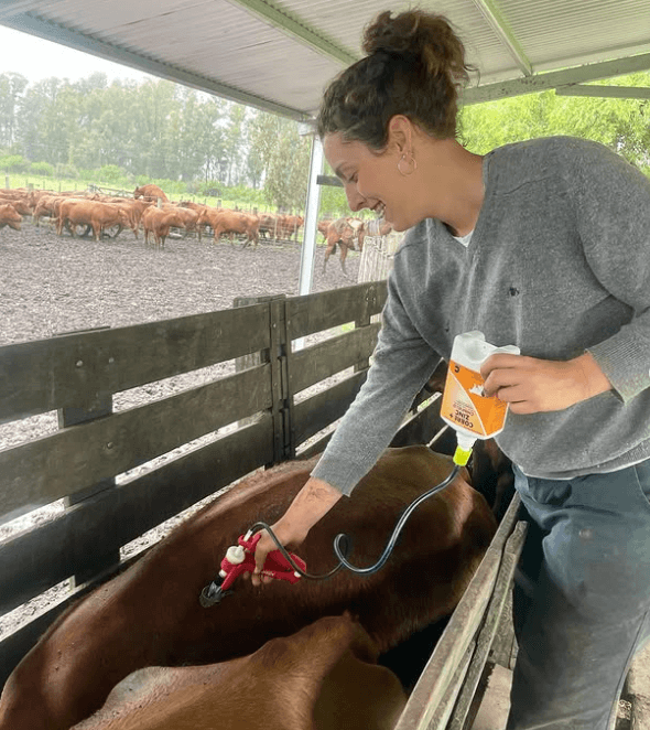 Maria jose con caballos008