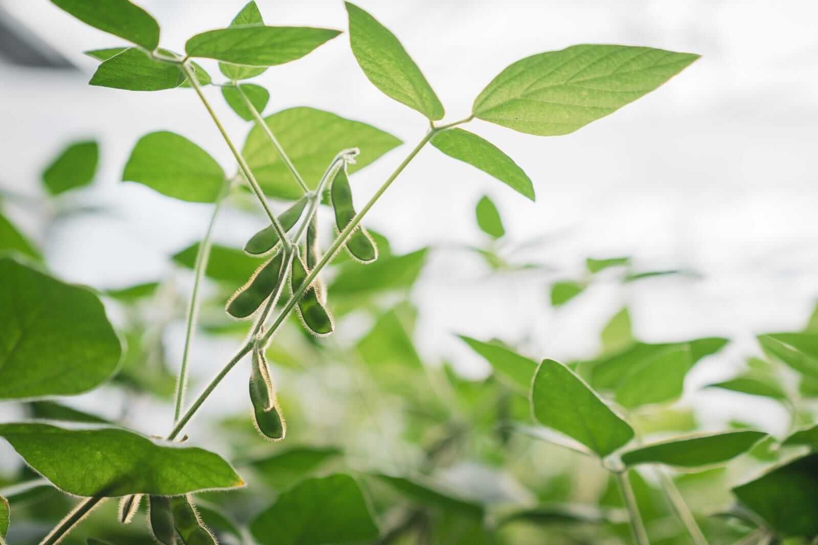 PHOTO 2026 02 02 12 05 45 1