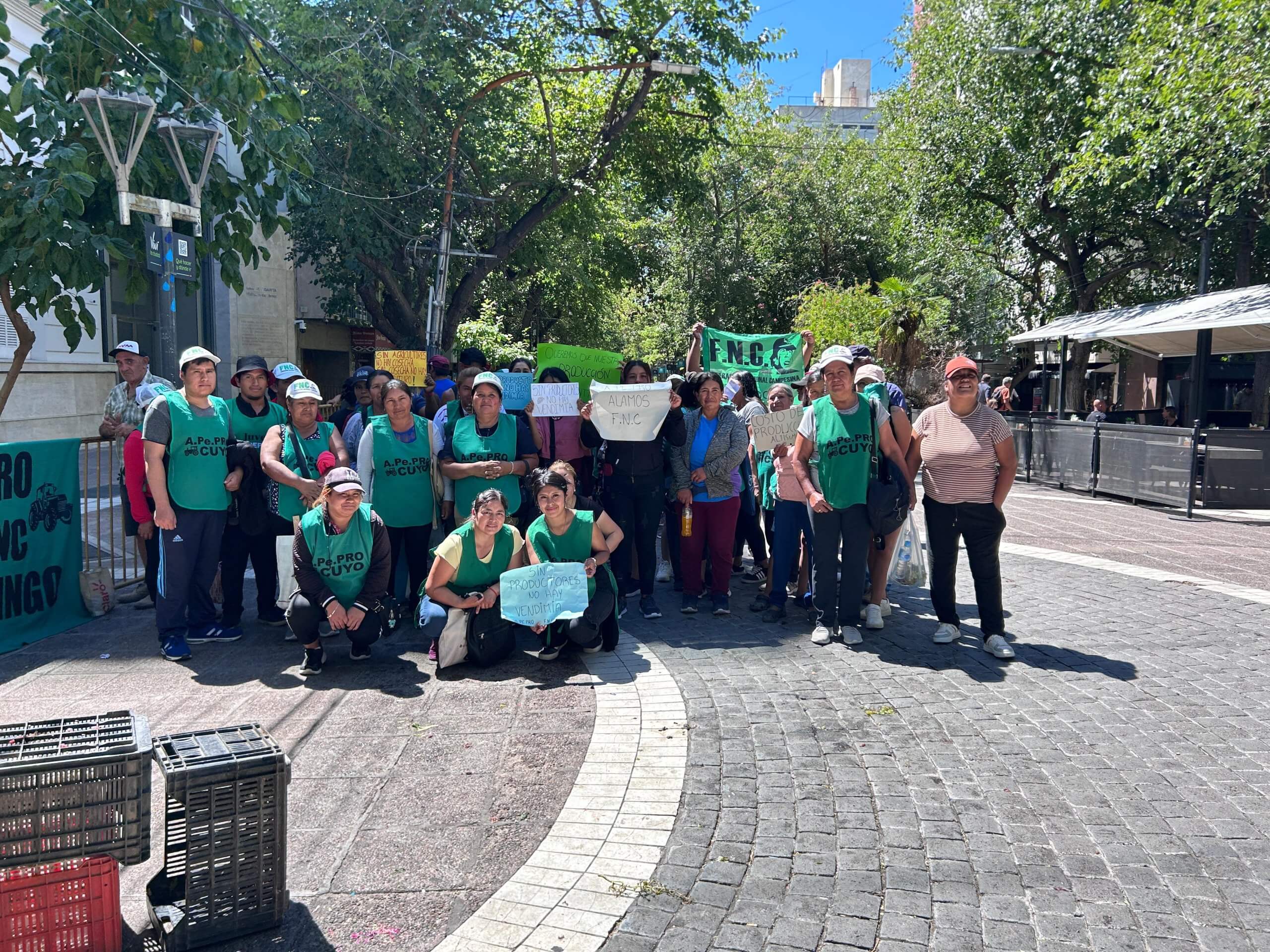 WhatsApp Image 2026 02 10 at 12.45.53 scaled