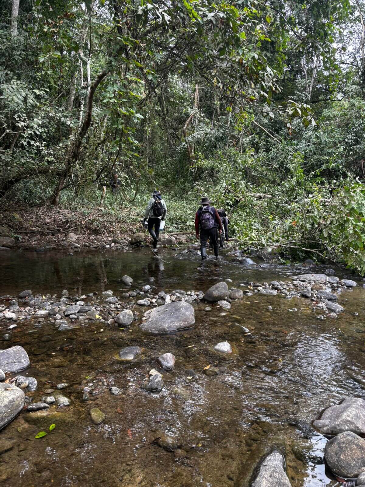 WhatsApp Image 2026 02 12 at 20.21.44