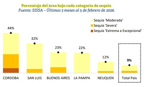 WhatsApp Image 2026 02 13 at 12.26.19 PM 1