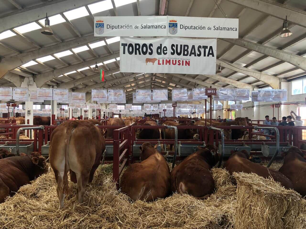 WhatsApp Image 2026 02 28 at 17.44.58 limu