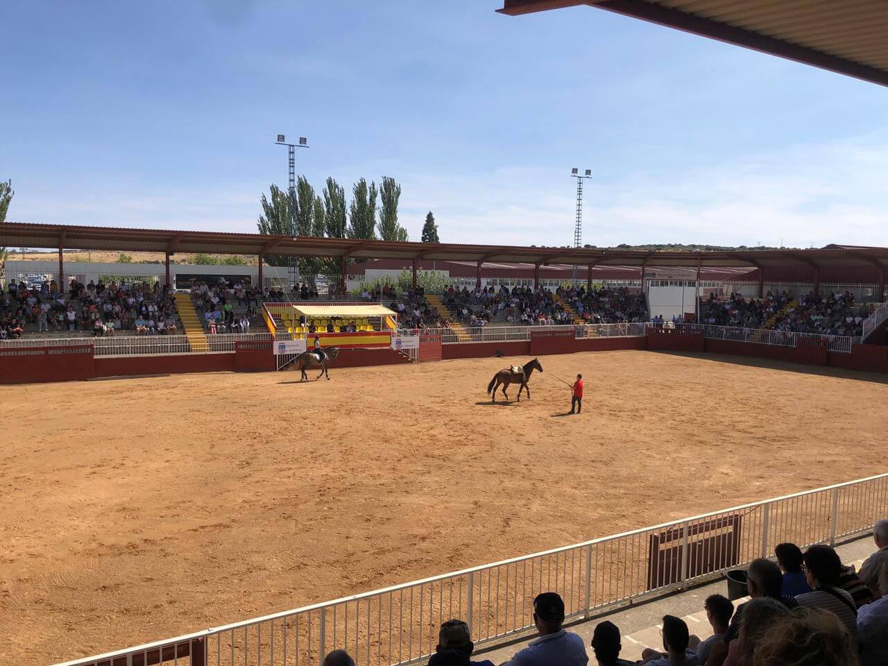 Bahiense y pionero: viajó a Europa y armó la primera cabaña Angus con 100% genética argentina del viejo continente 1 WhatsApp Image 2026 02 28 at 17.44.58