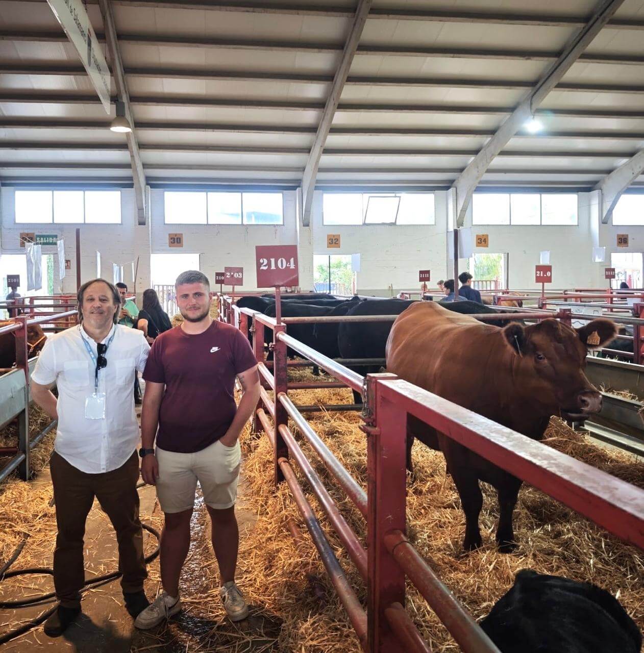 Bahiense y pionero: viajó a Europa y armó la primera cabaña Angus con 100% genética argentina del viejo continente 4 WhatsApp Image 2026 02 28 at 18.13.55