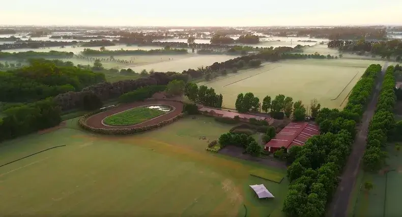 campo polo carnerillo