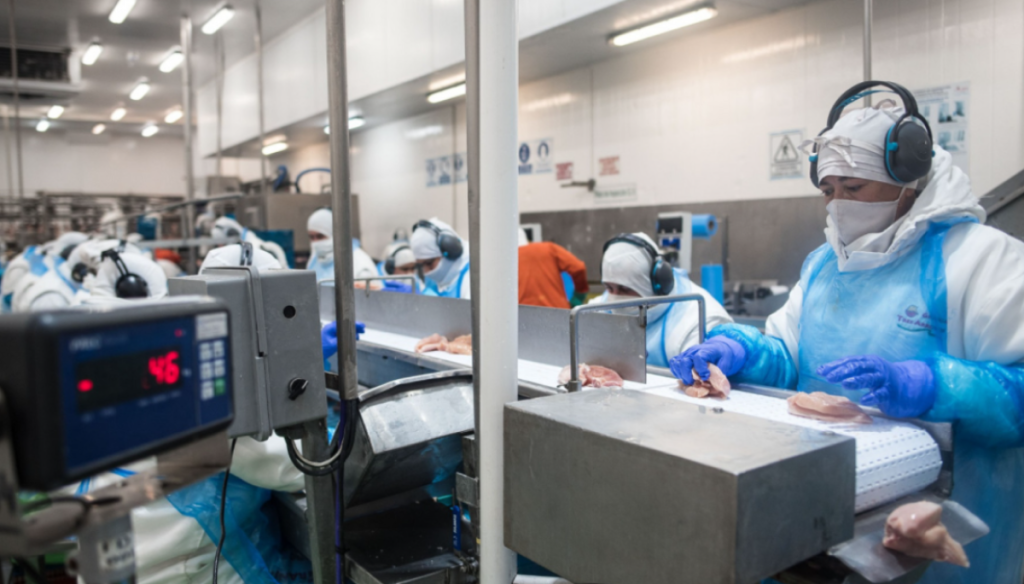 carne aviar frigorifico