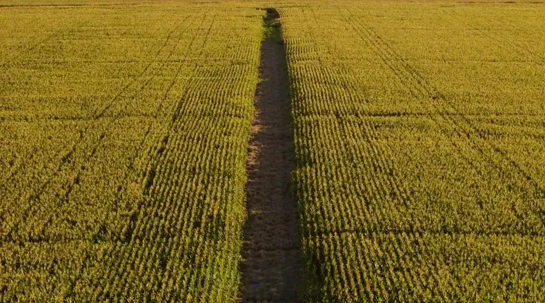 corredoresbiologicos