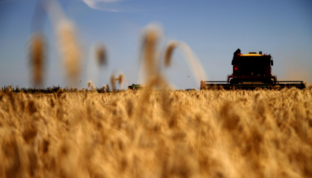 El trigo, clave para la evolución positiva de las exportaciones del agro