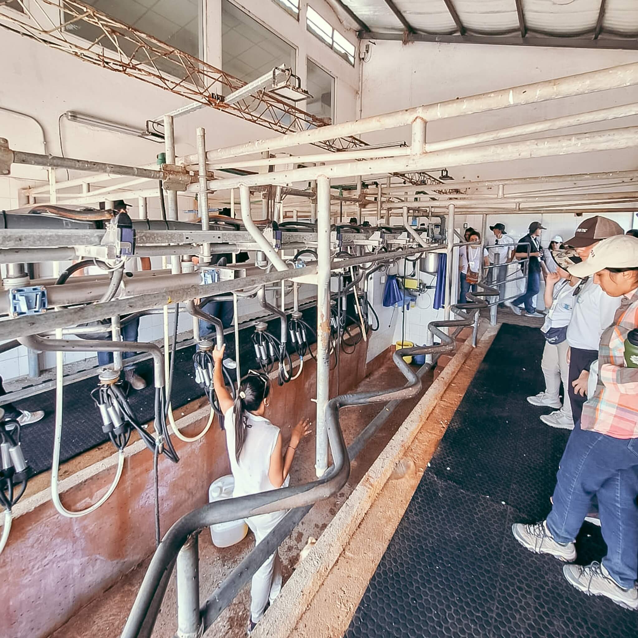 estudiantes FCAUNC tambo