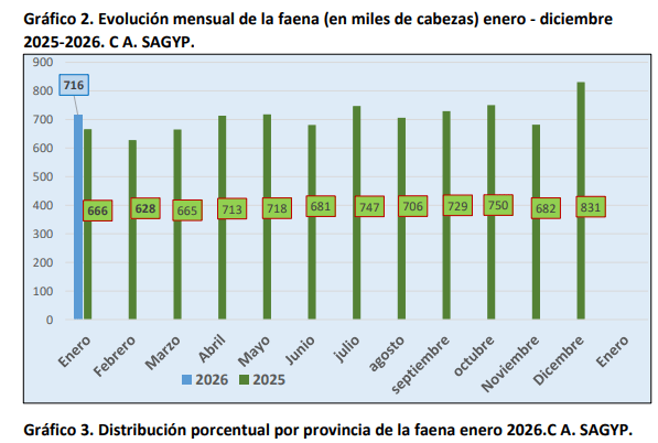 faena porcina evloucion