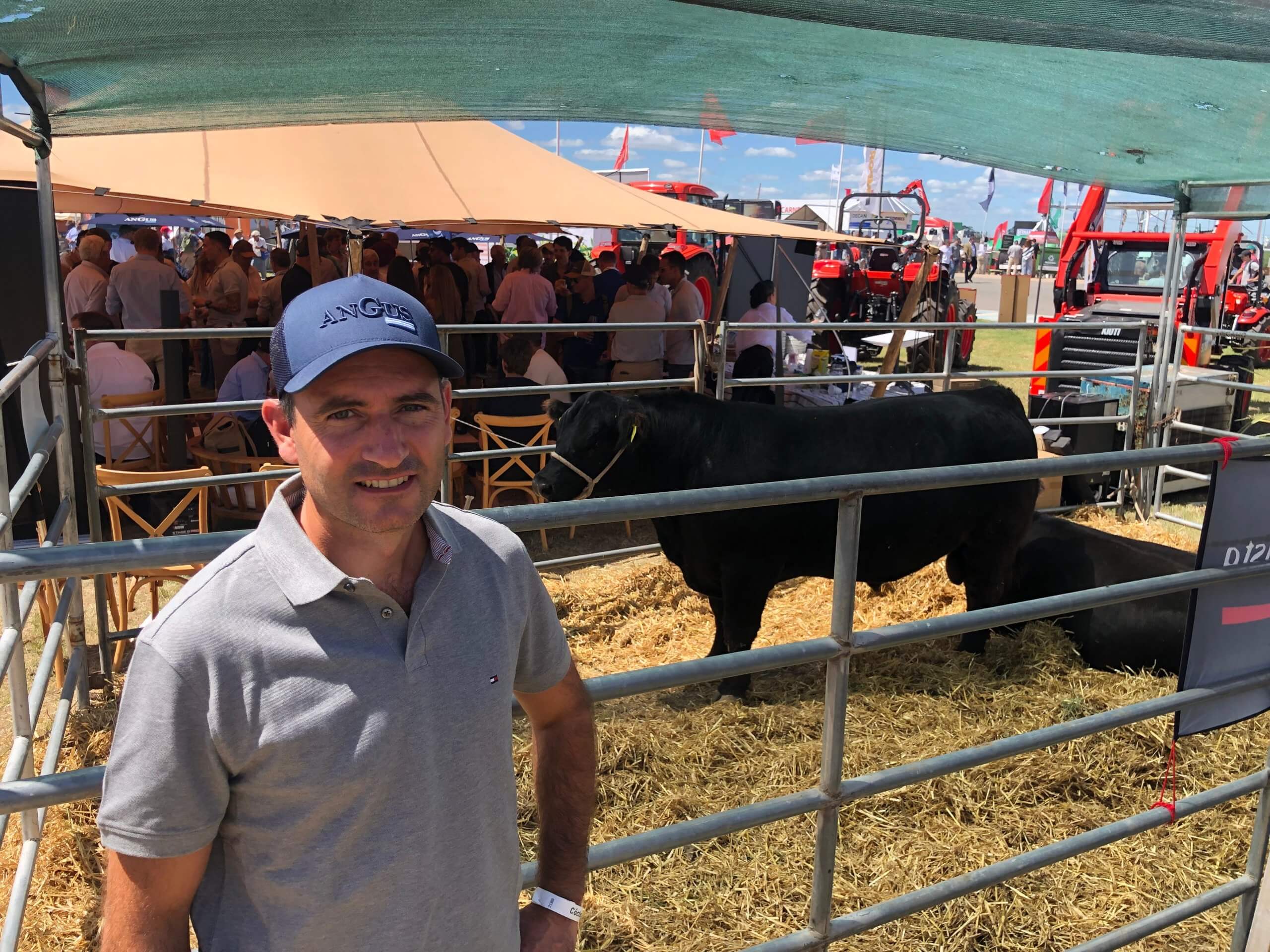 Angus Correndo scaled