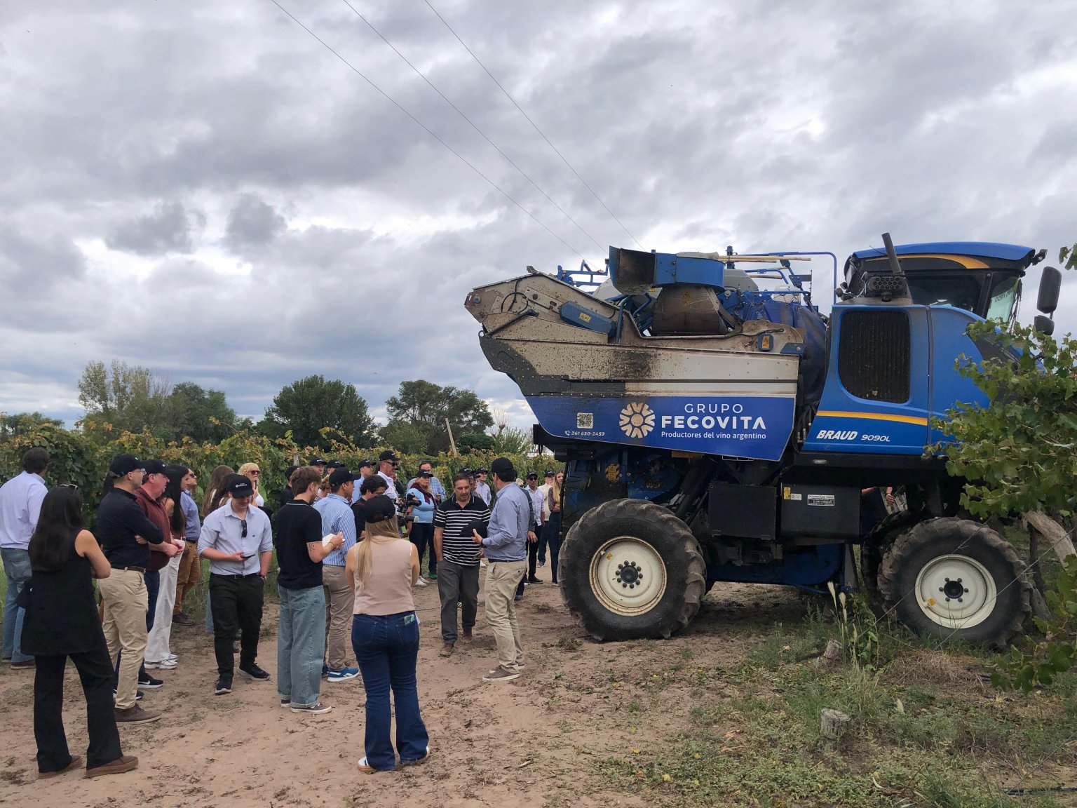 Del petr&oacute;leo al vino: la apuesta que desaf&iacute;a el tiempo