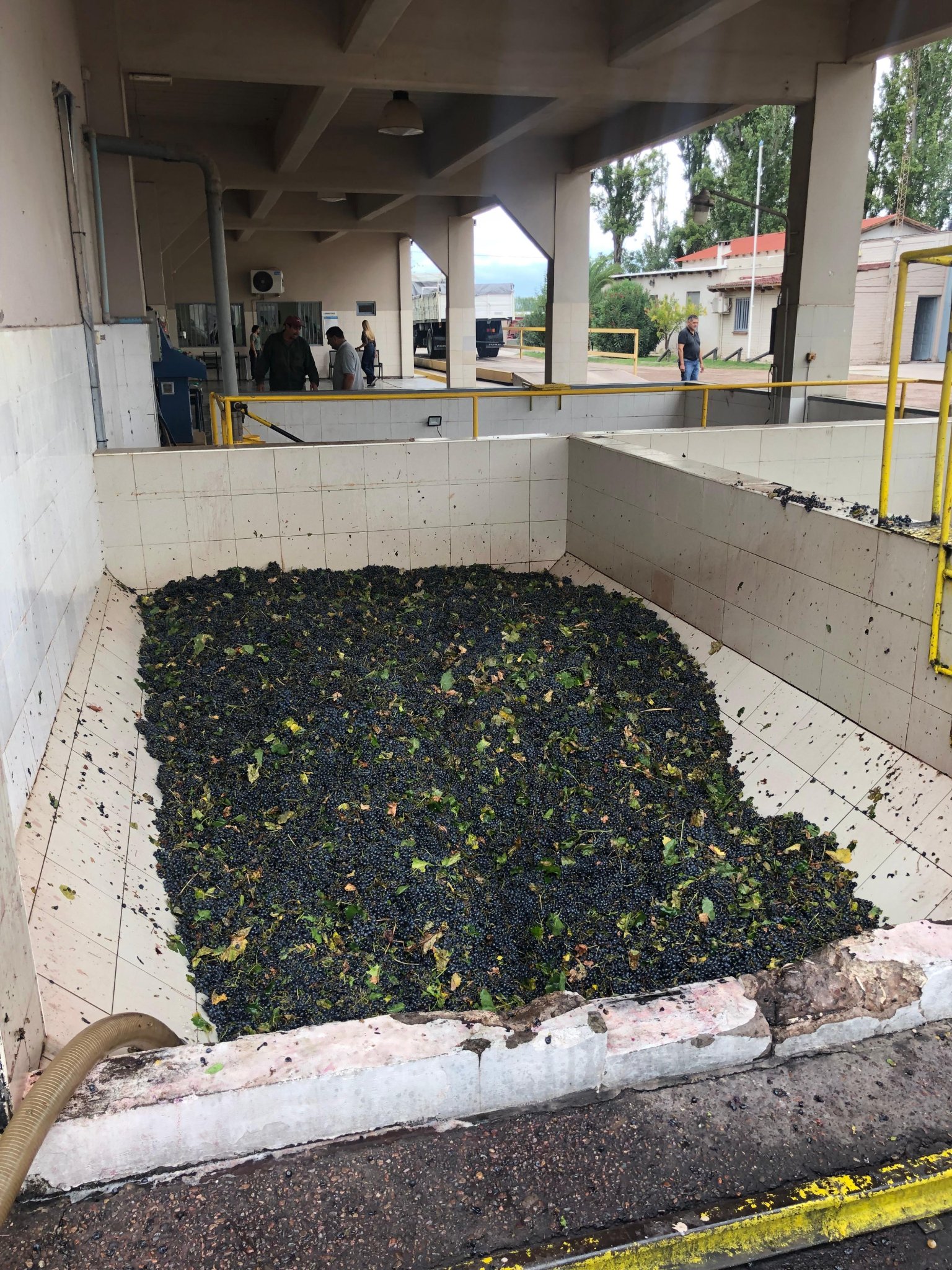 Del petr&oacute;leo al vino: la apuesta que desaf&iacute;a el tiempo