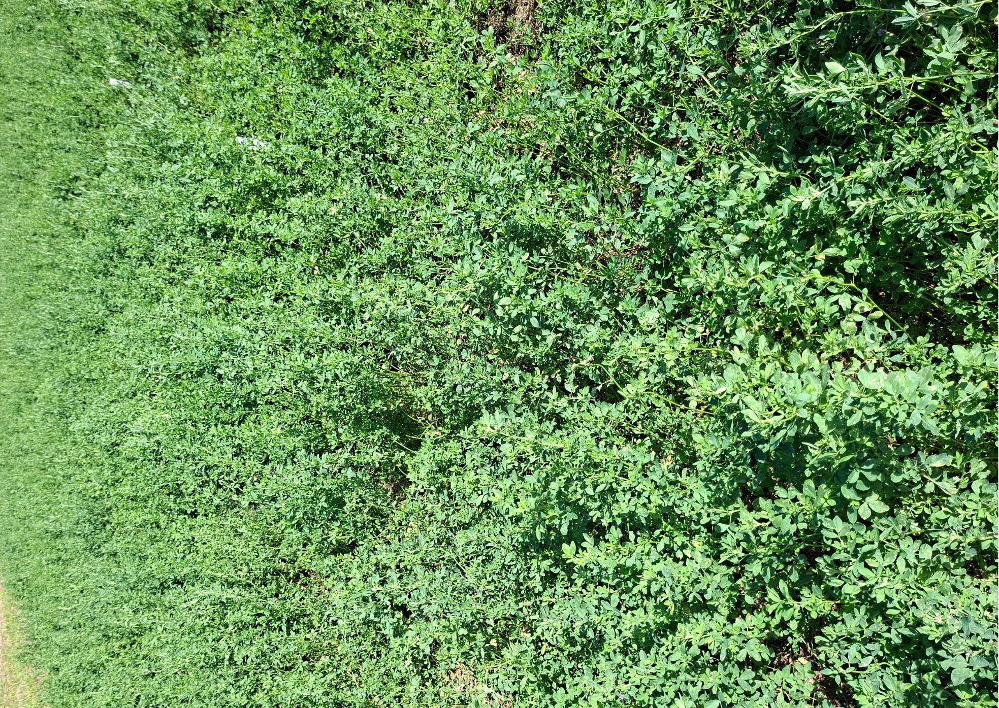 IMG 2024 WA0122 rotated e1774887949875