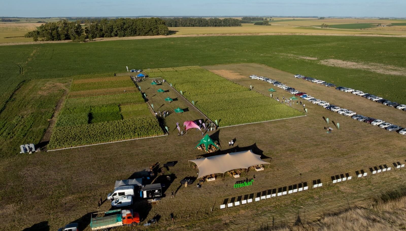 Nufarm 2 e1772484466235