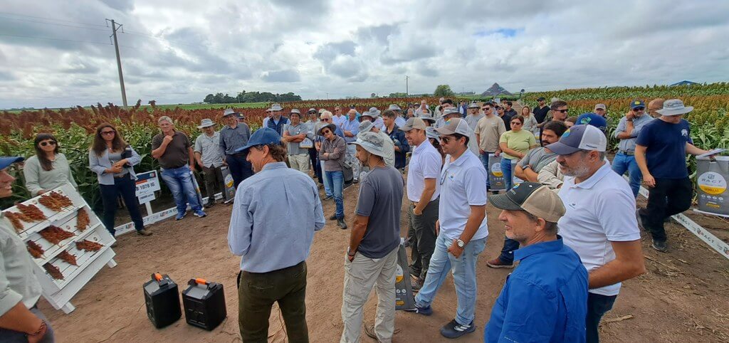 RAGT Semillas en Salto 2026.jpg