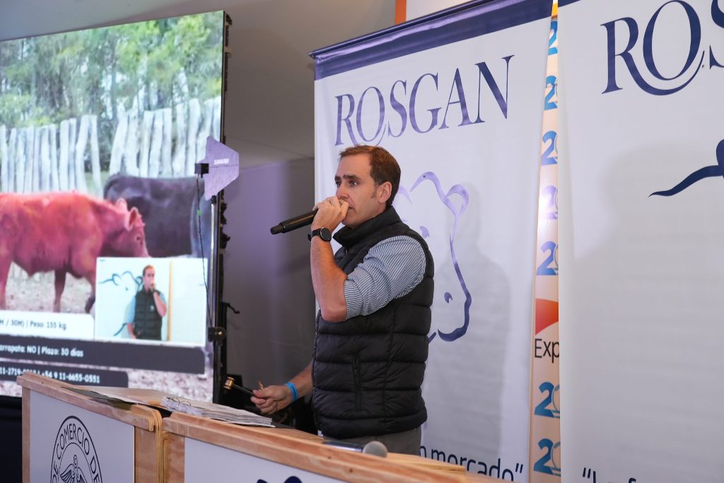 Remate portada 1 scaled 1