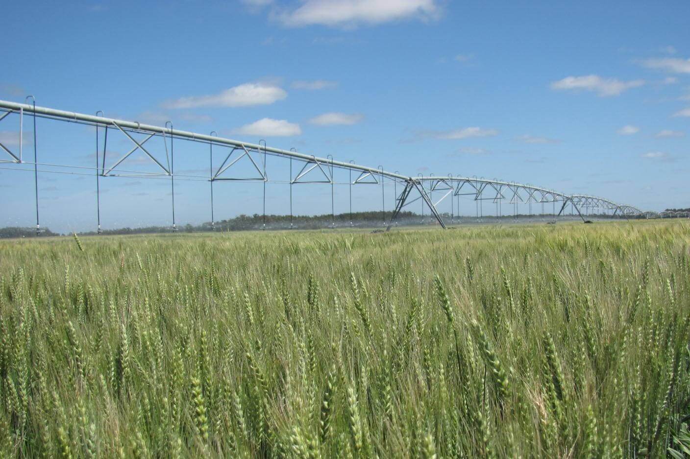 D&iacute;a del Agua: t&eacute;cnicas que mejoran eficiencia agr&iacute;cola