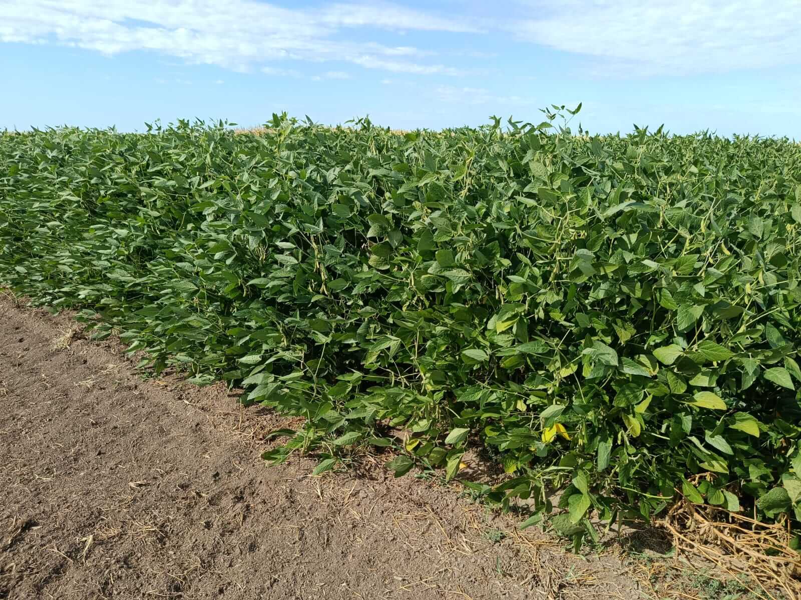 WhatsApp Image 2026 03 02 at 10.39.06 AM