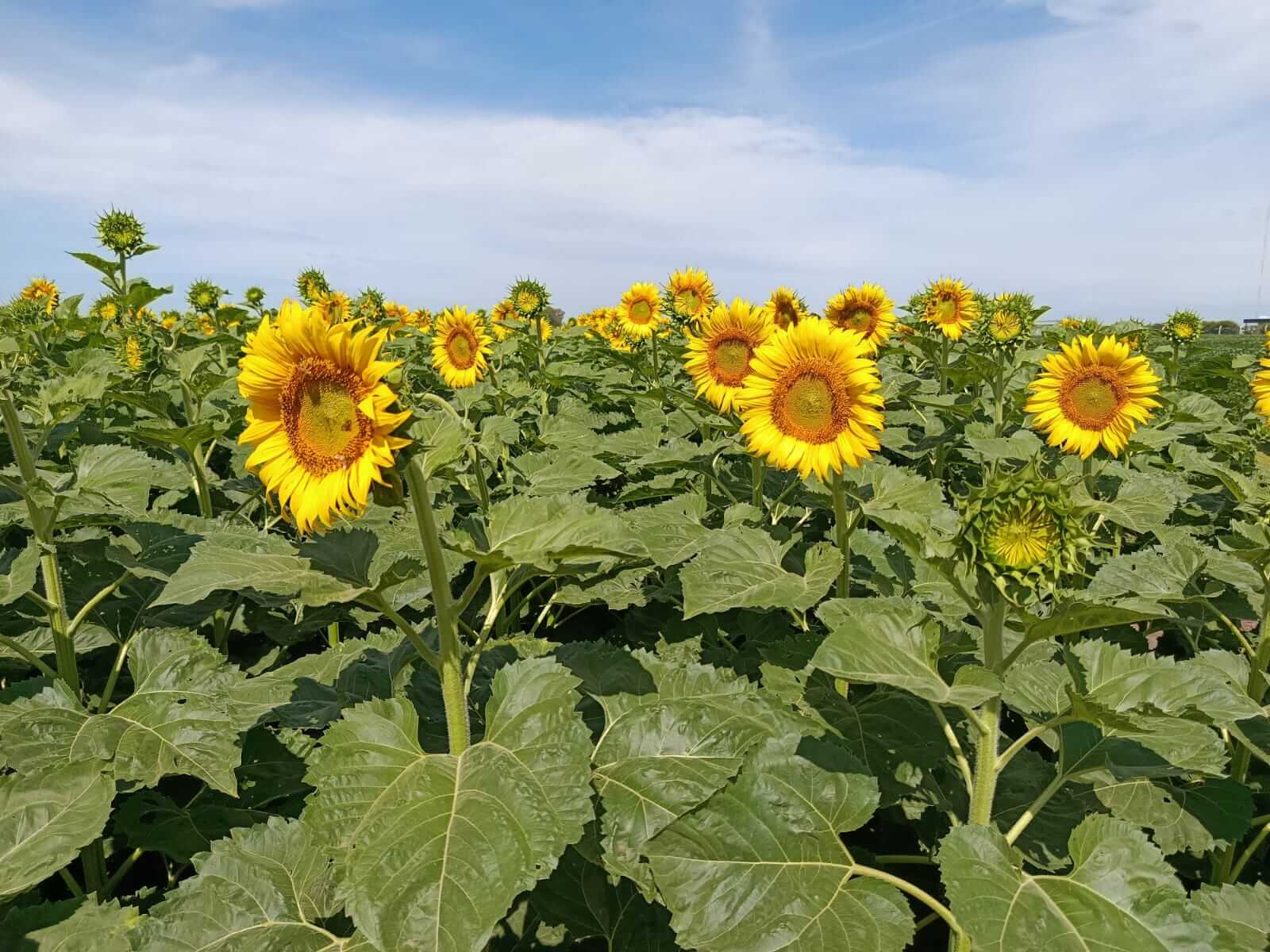 WhatsApp Image 2026 03 02 at 11.18.28 AM