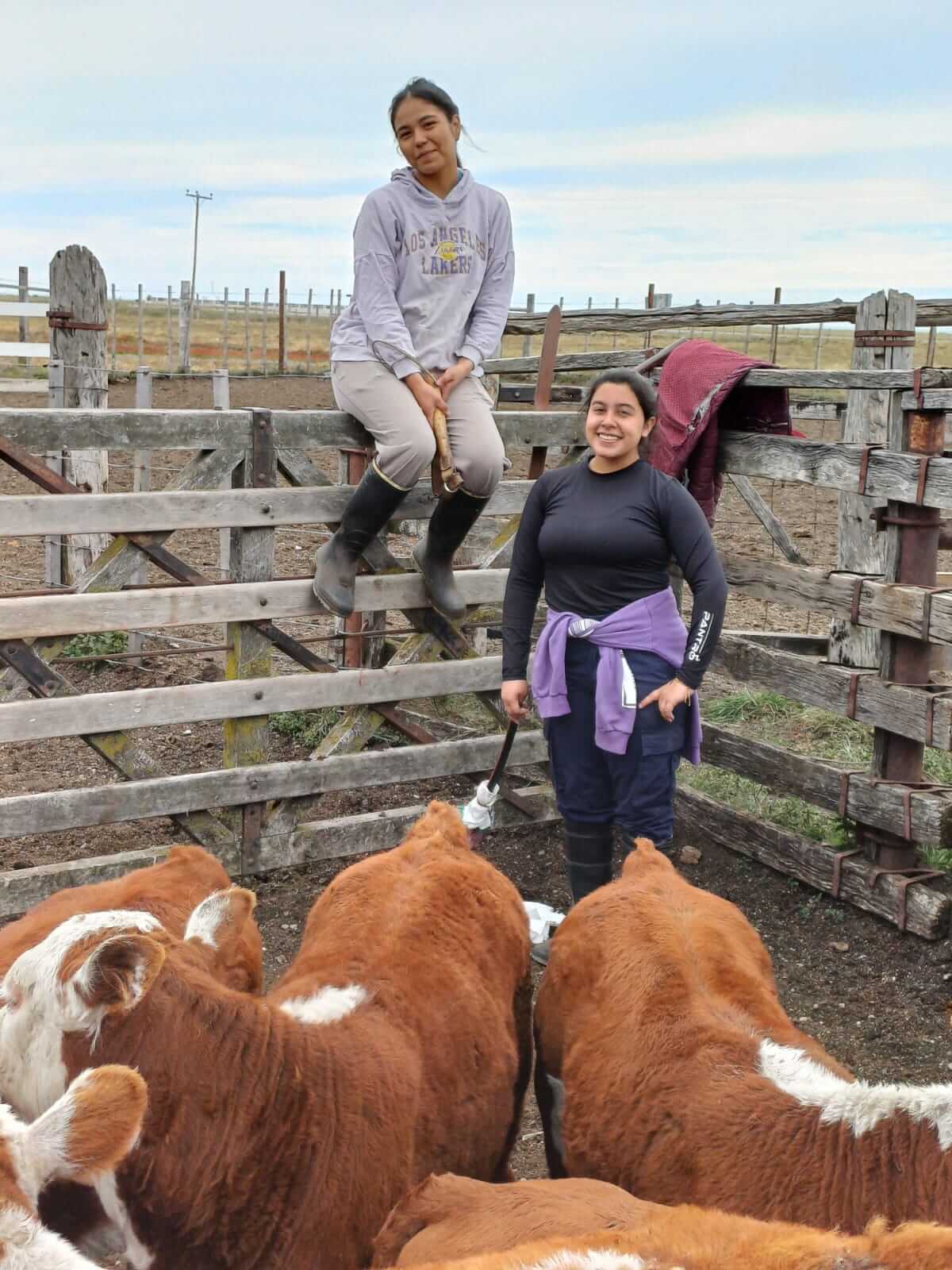 WhatsApp Image 2026 03 03 at 16.17.54