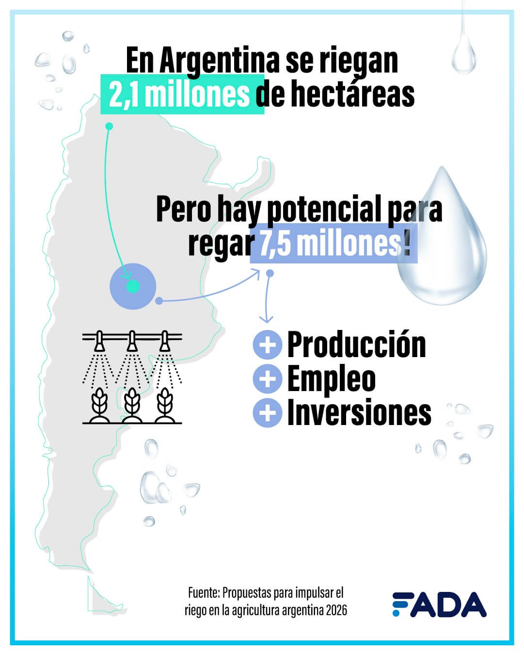 WhatsApp Image 2026 03 04 at 11.36.18 1