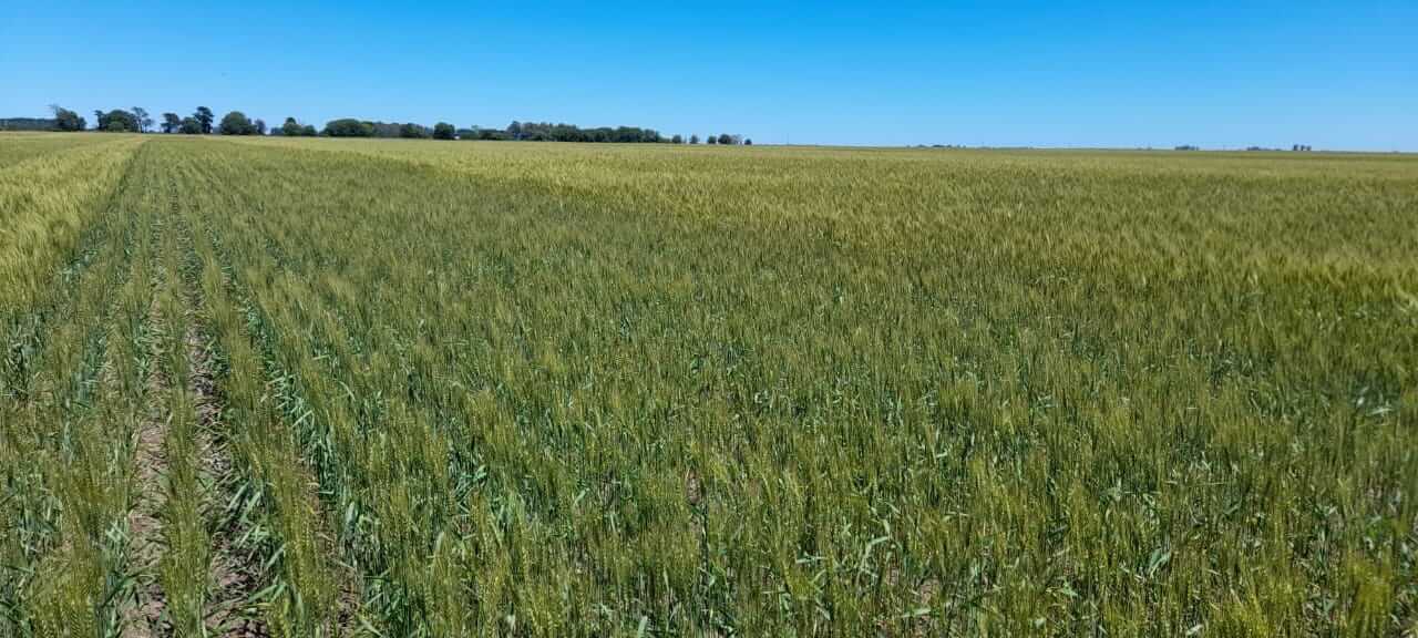 WhatsApp Image 2026 03 04 at 12.10.39 PM