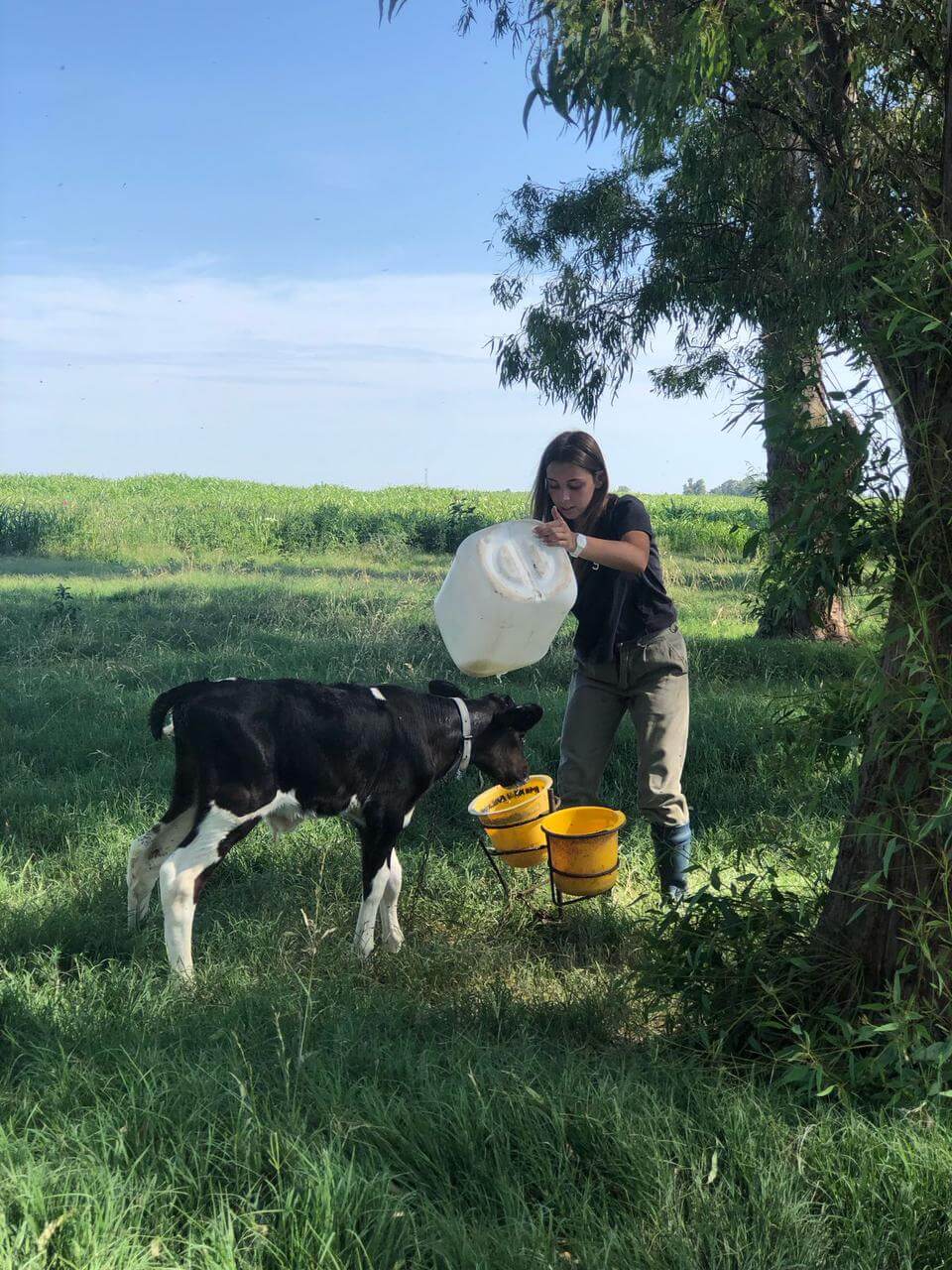 WhatsApp Image 2026 03 05 at 12.08.38 2