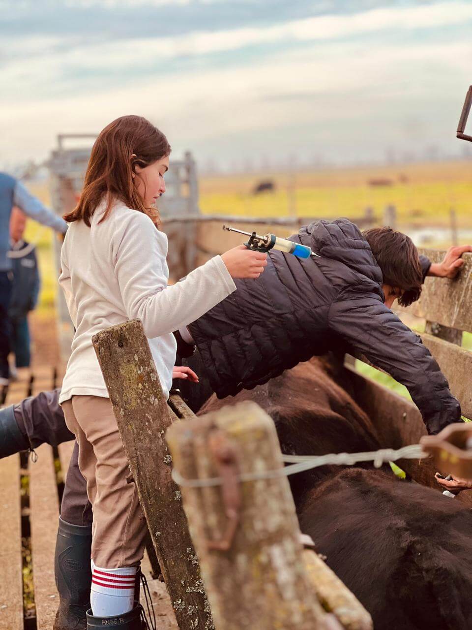 WhatsApp Image 2026 03 05 at 12.08.38