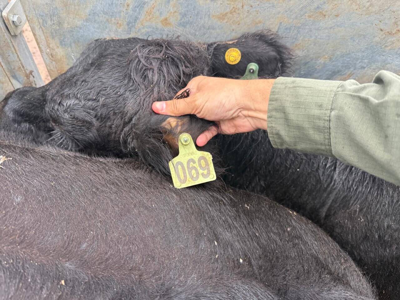 WhatsApp Image 2026 03 20 at 18.22.05 1