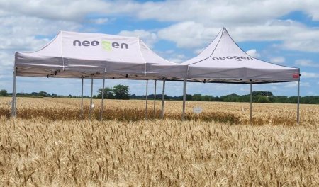 WhatsApp Image 2026 03 26 at 11.12.28 AM