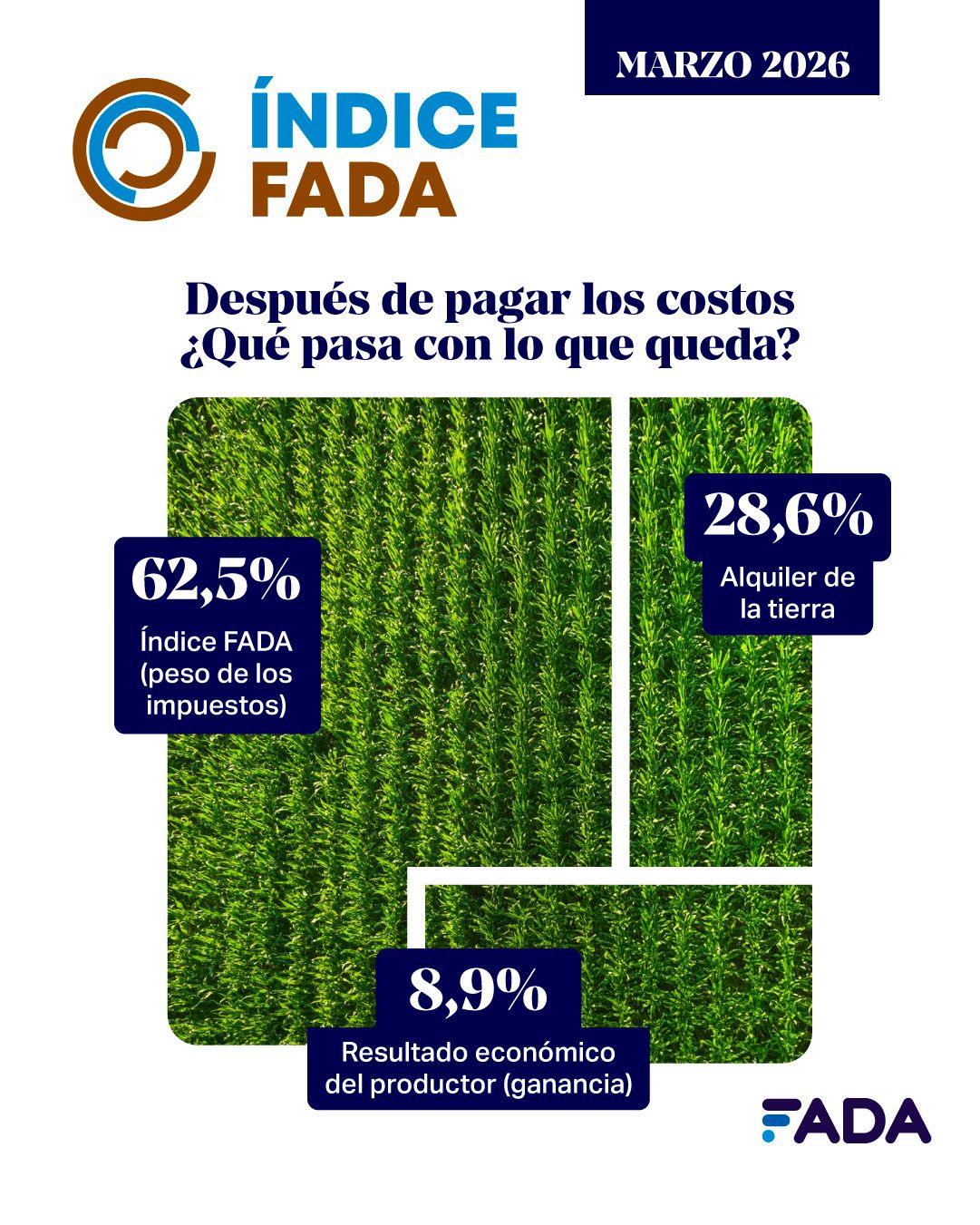 WhatsApp Image 2026 03 31 at 09.19.14