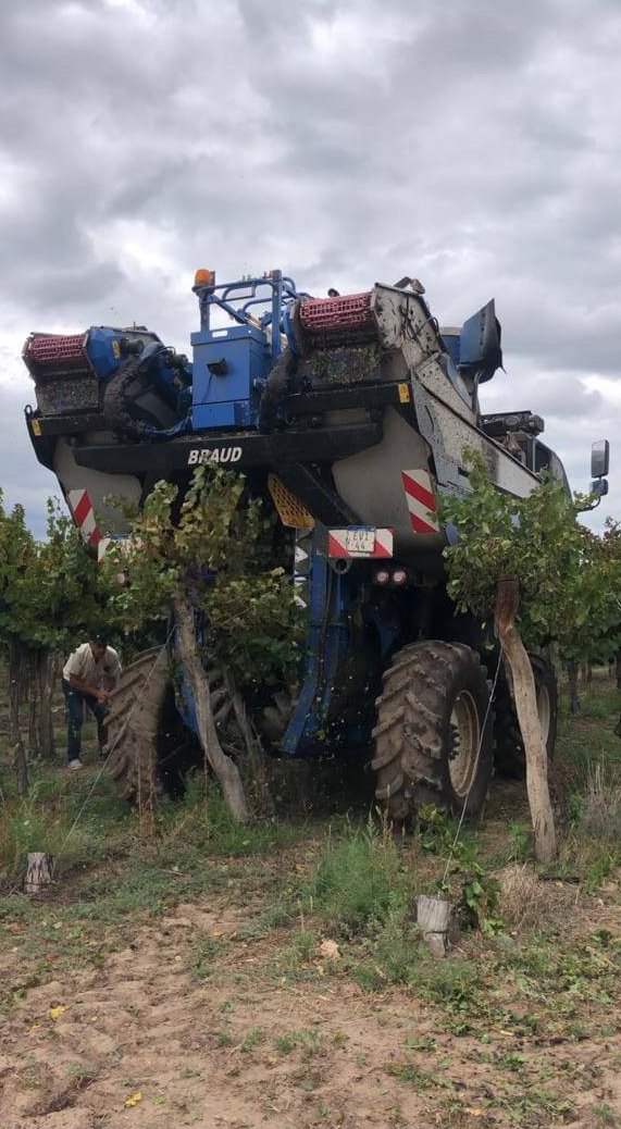 antonio torre 4 e1774464412407