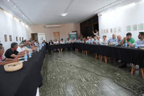 diseno imagenes para Gobierno 2026 03 16T104503.622 480x320 1